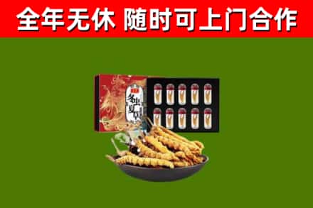 景宁县烟酒回收冬虫夏草礼盒.jpg